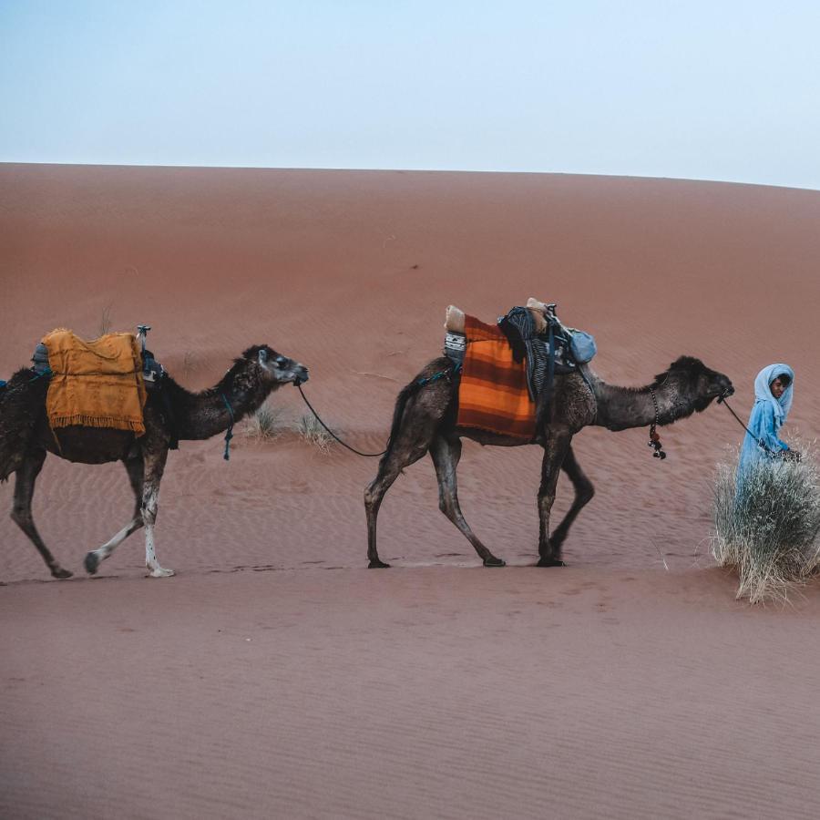 Camel Luxury Camp Acomodação com café da manhã Merzouga Exterior foto